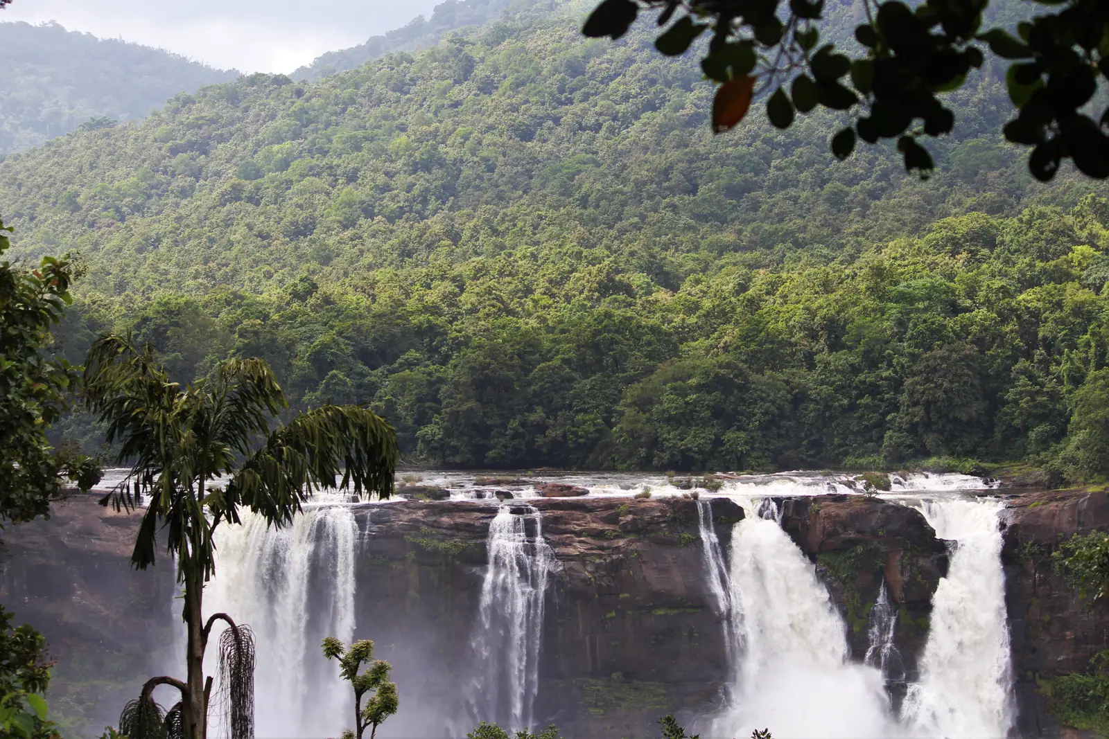 Wide view of Athirappilly Falls spilling over the rock shelf, with areca palms in the foreground